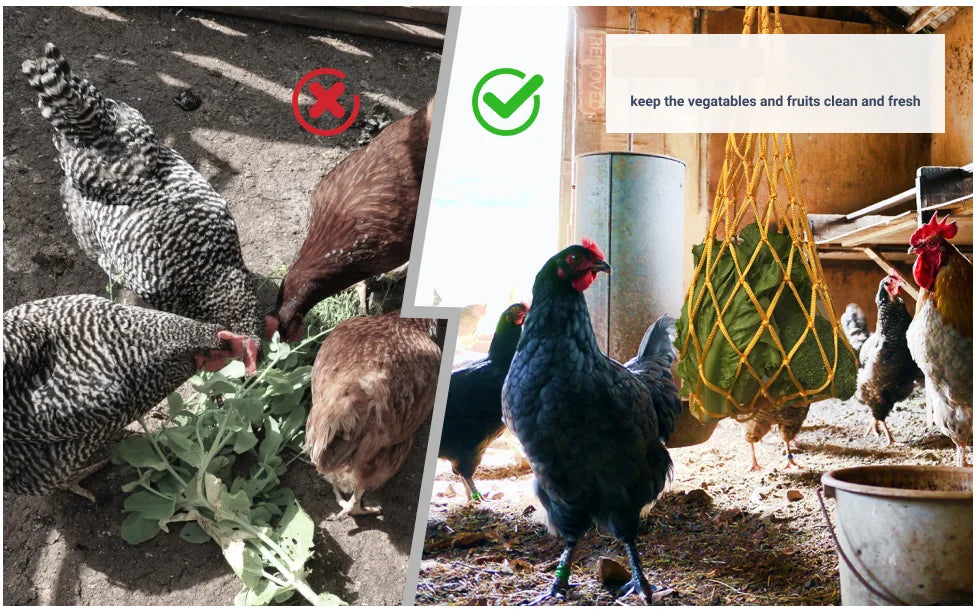 Chicken Vegetable Net Bag