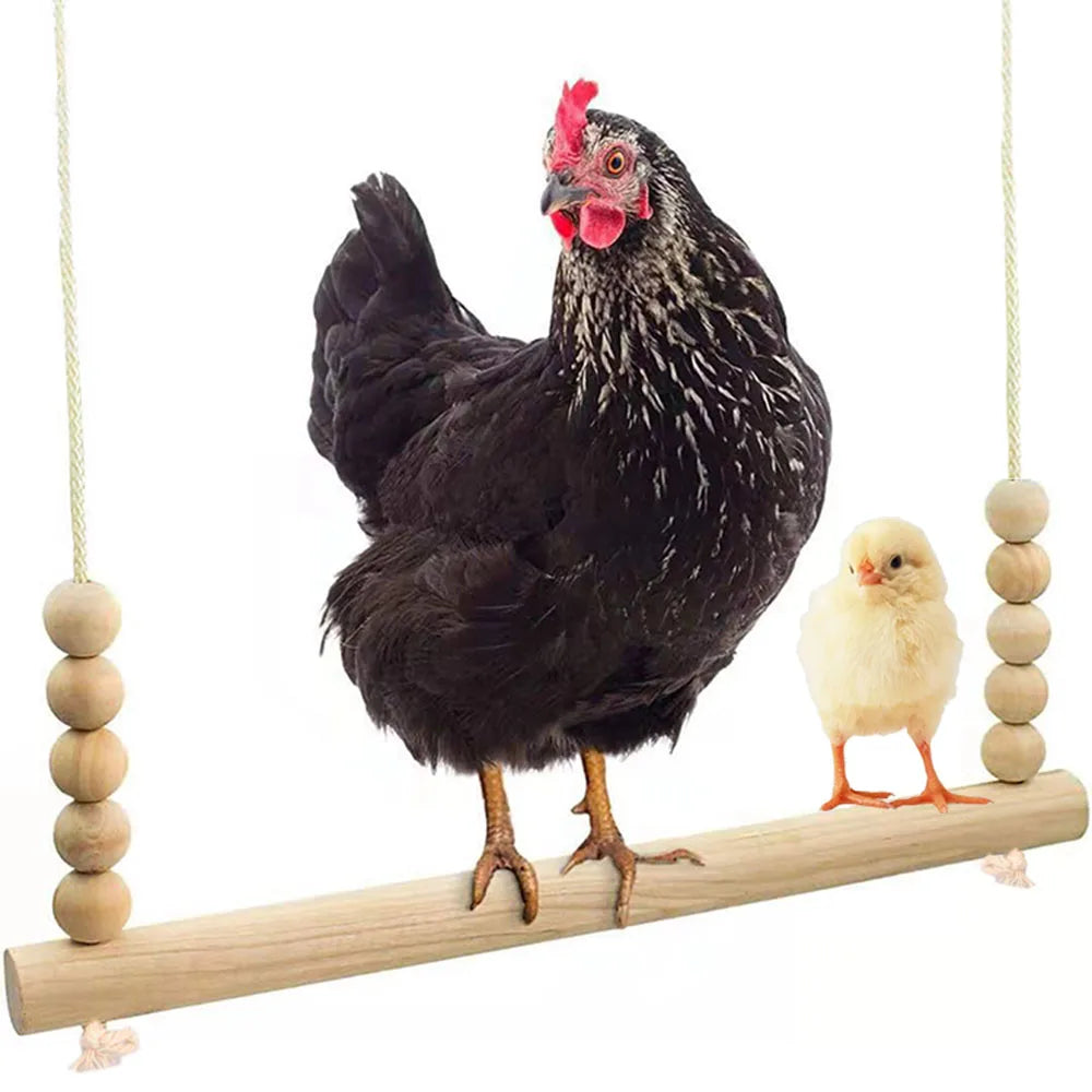Black chicken and yellow chick on a wooden perch with beads