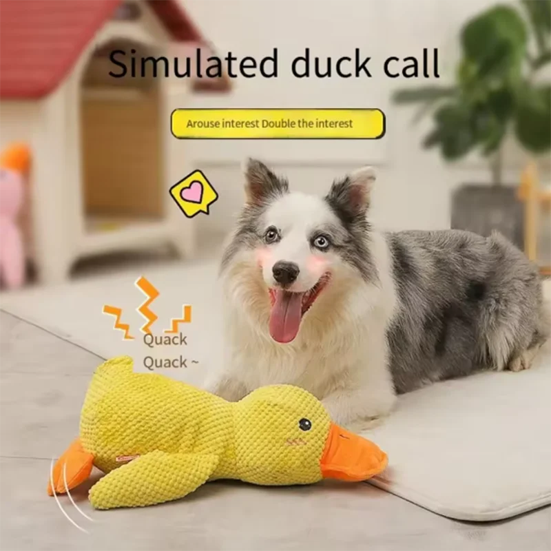 Cute dog Toy Stomping Duck