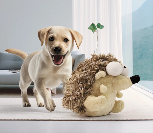 rechargeable-bouncing-ball-dog-toy-self-rolling-interactive