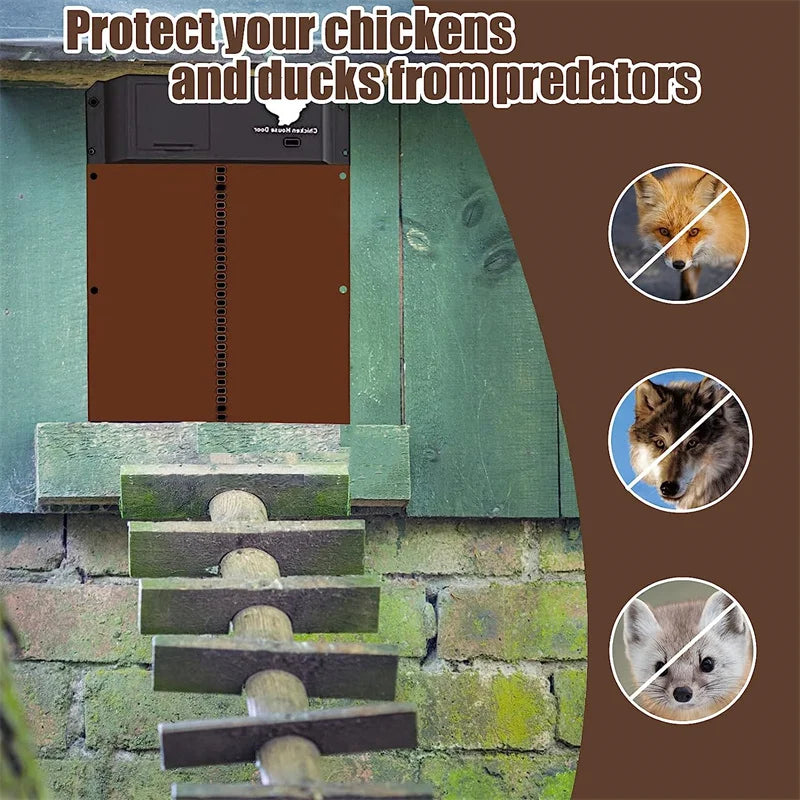Automatic Chicken Coop Door Chicken Door