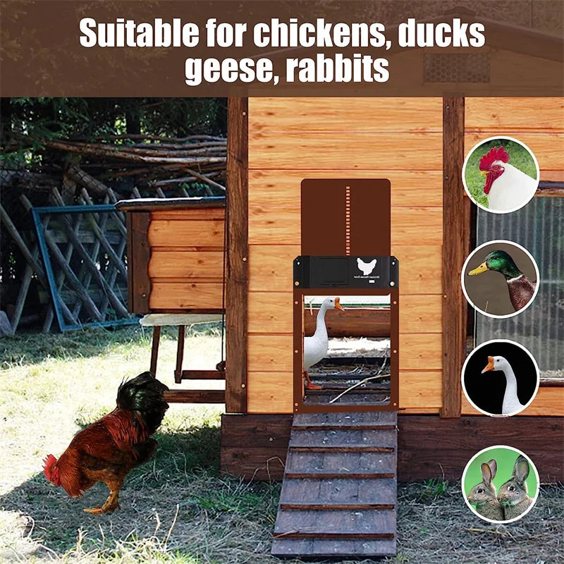 Automatic Chicken Coop Door Chicken Door