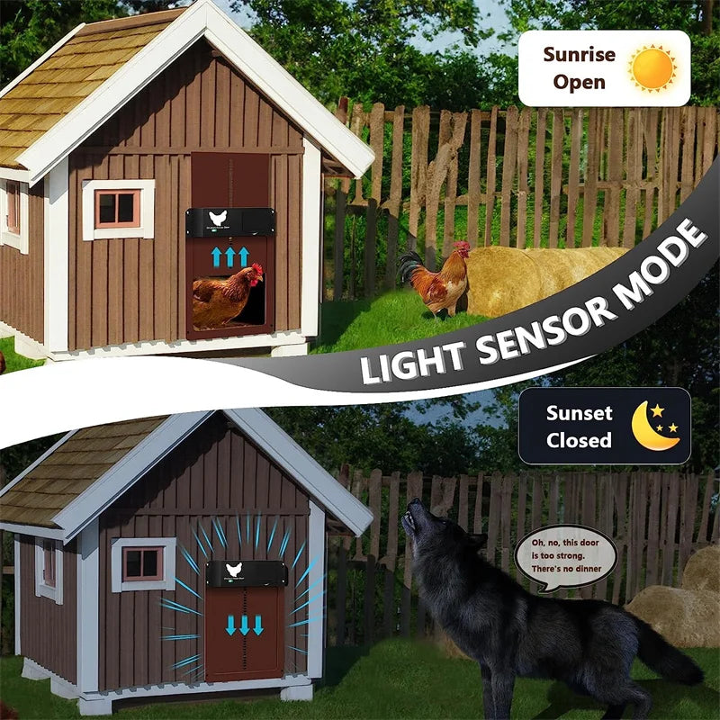 Automatic Chicken Coop Door Chicken Door