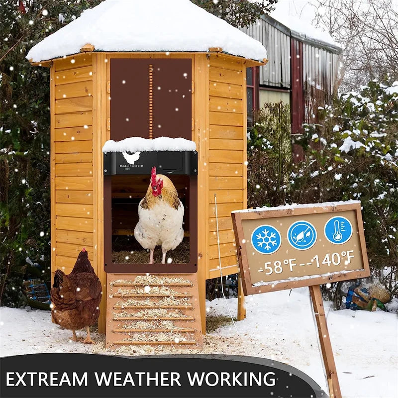 Automatic Chicken Coop Door Chicken Door