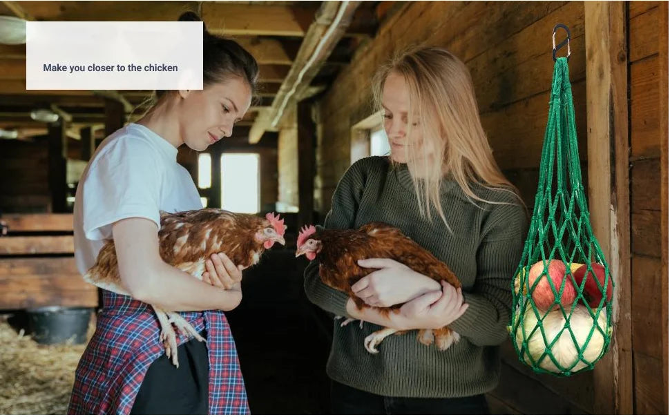 Chicken Vegetable Net Bag
