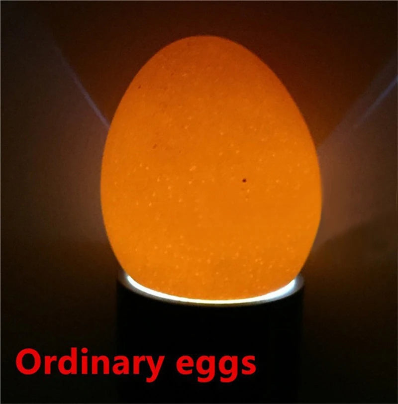 led-egg-candler-lamp-fertility-tester-australia