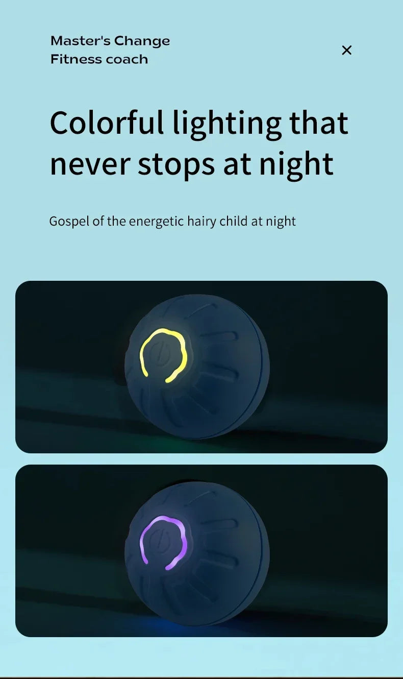 Smart Dog Toy Ball