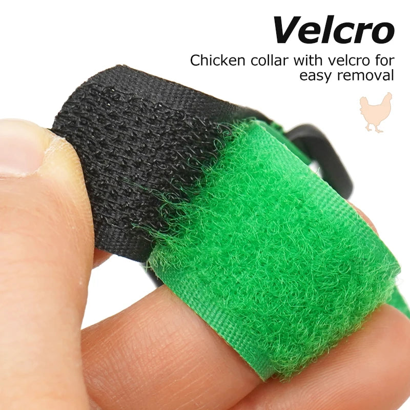 No Crow Rooster Collar 2-Pack - Humane Noise Reduction for Backyard Roosters - Adjustable Chicken Collar Australia