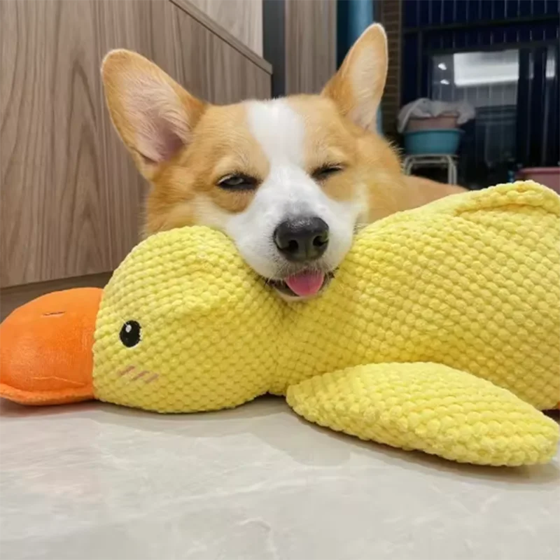 Cute dog Toy Stomping Duck
