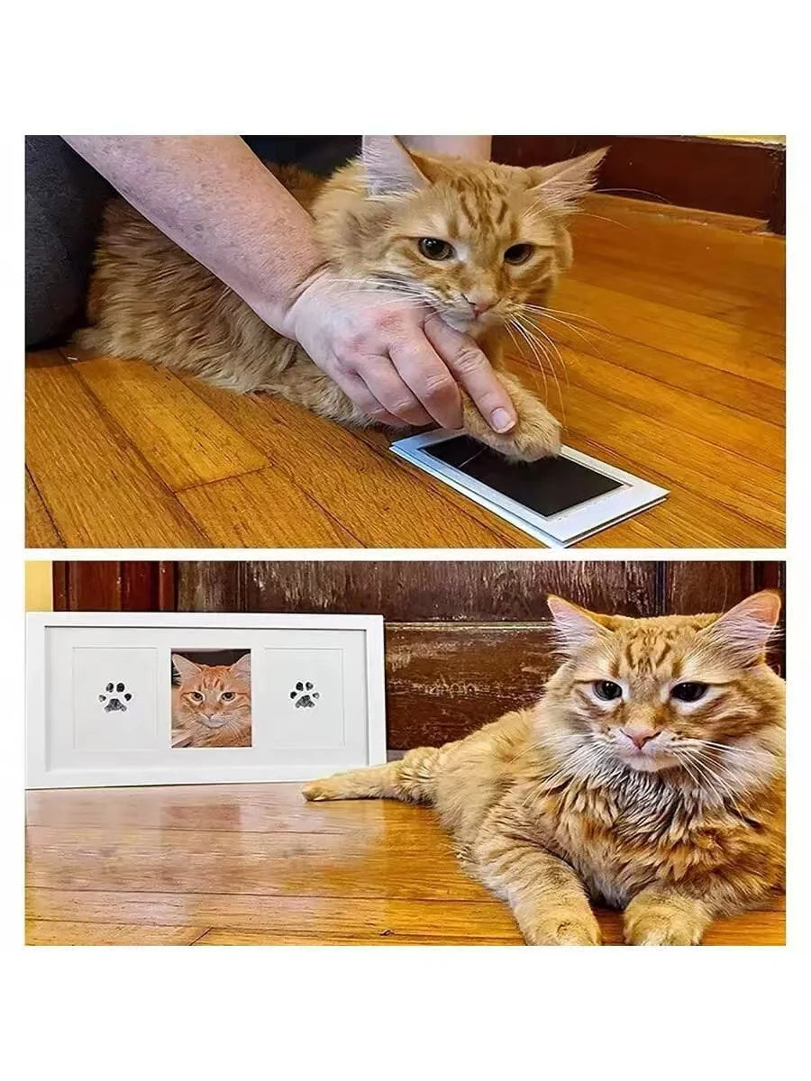 DIY Inkless Nose and Pawprint Impression Making Kit