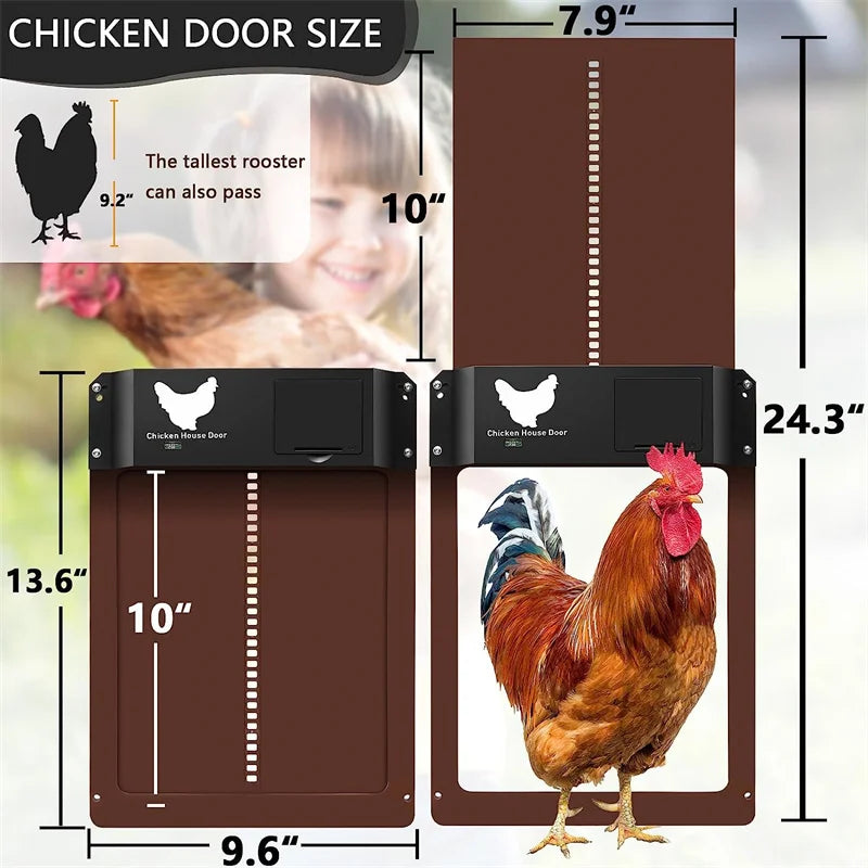 Automatic Chicken Coop Door Chicken Door
