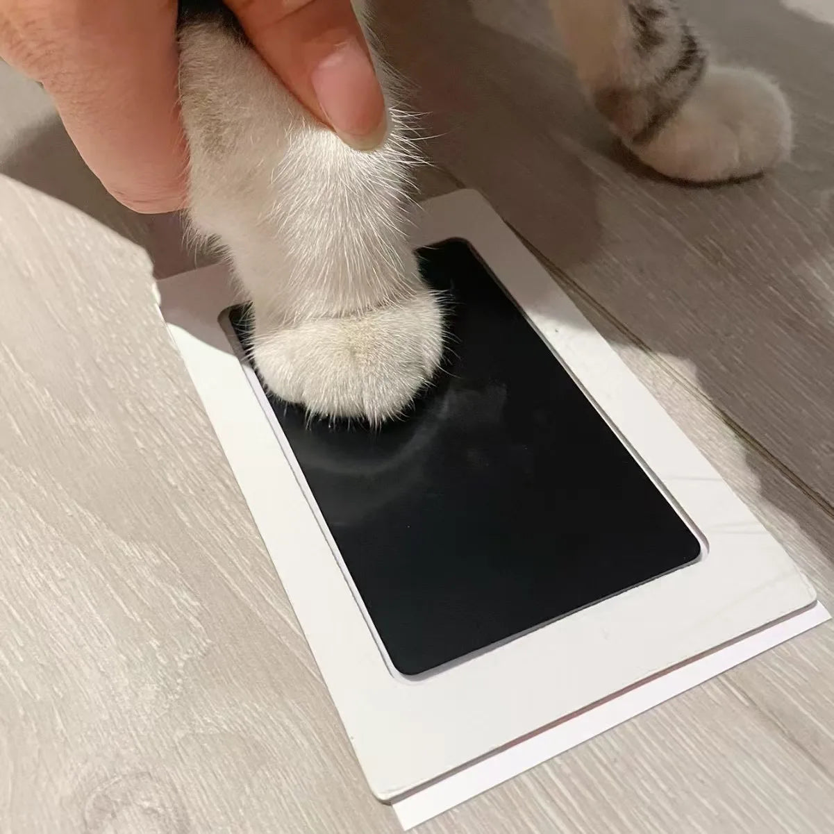 DIY Inkless Nose and Pawprint Impression Making Kit