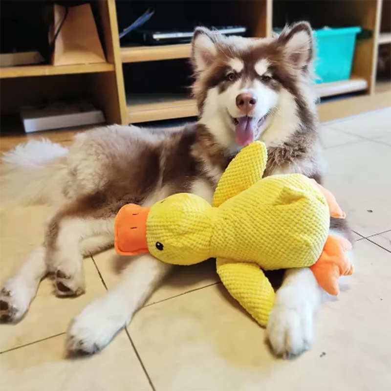 Cute dog Toy Stomping Duck