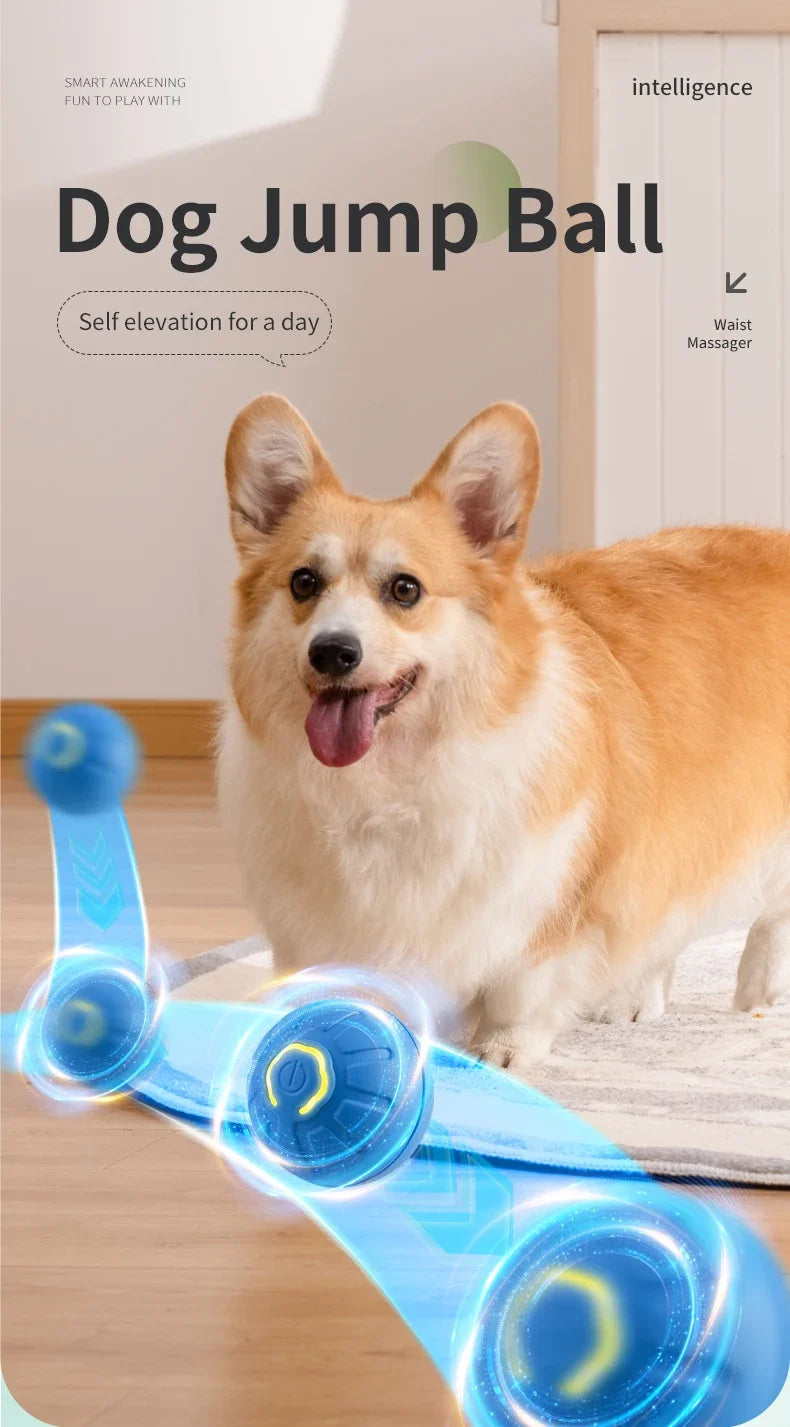 Smart Dog Toy Ball