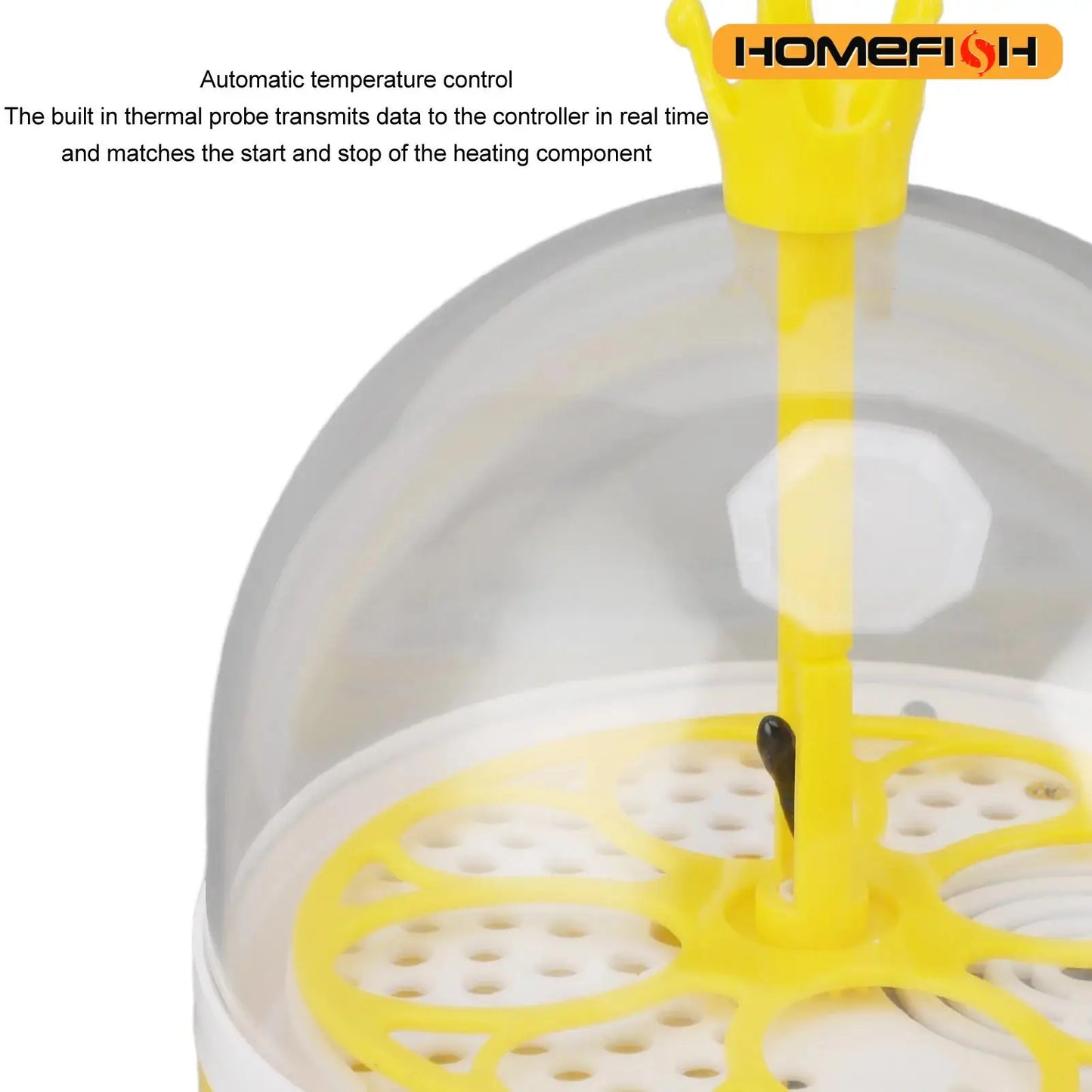 Mini home egg incubator