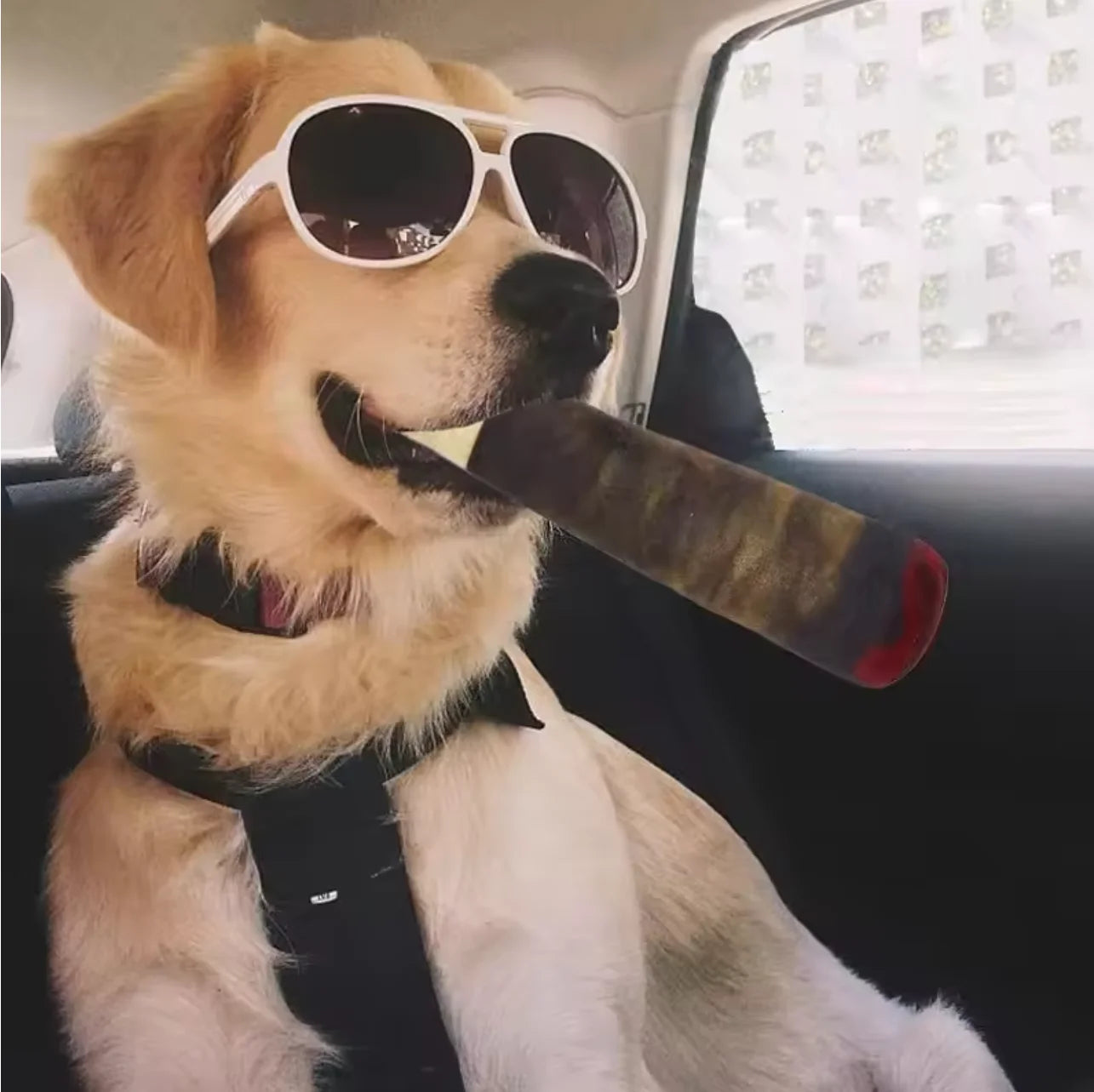 Funny Interactive Cigar Dog Toys
