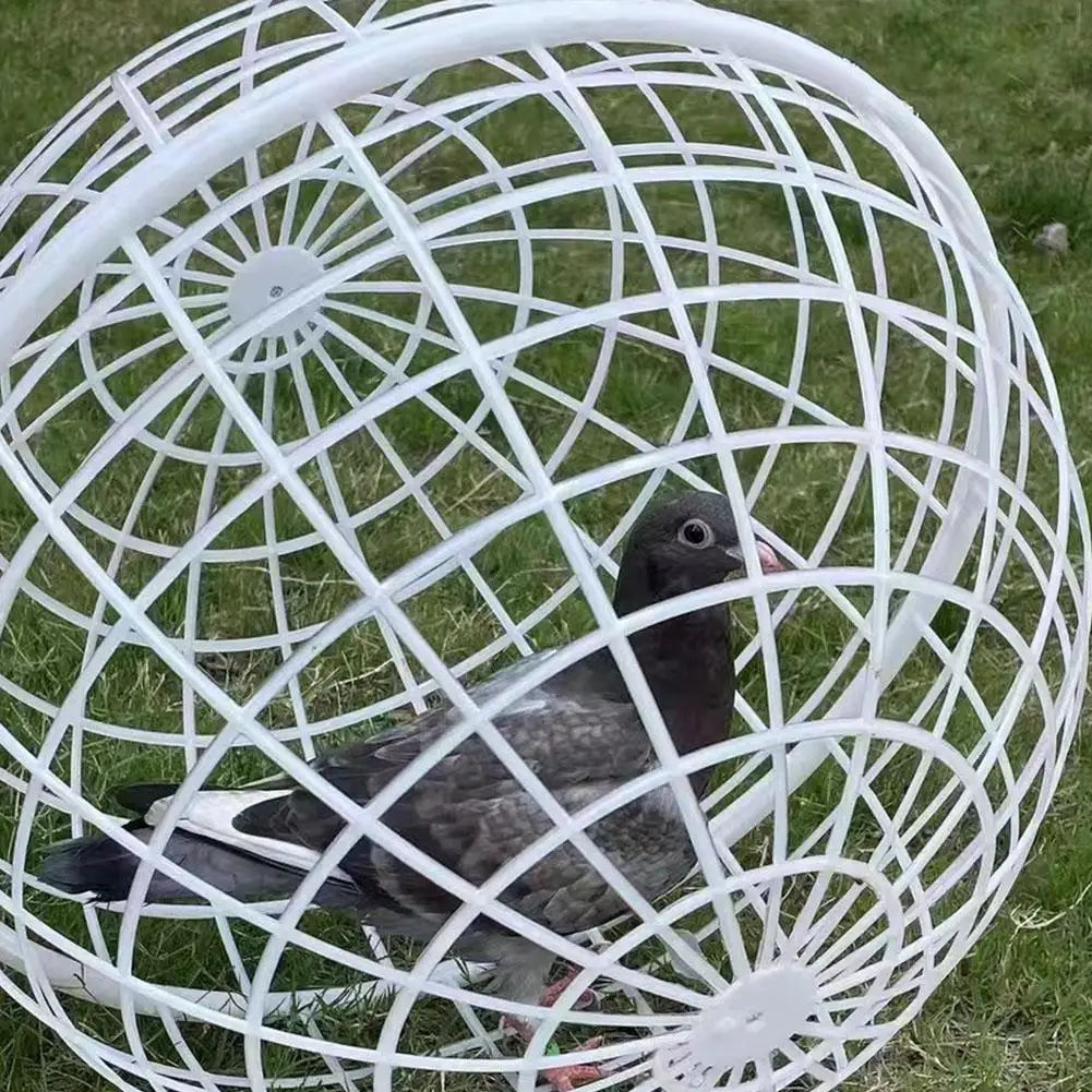 2/3pcs 20/30cm Chicken Rolling Ball Cage