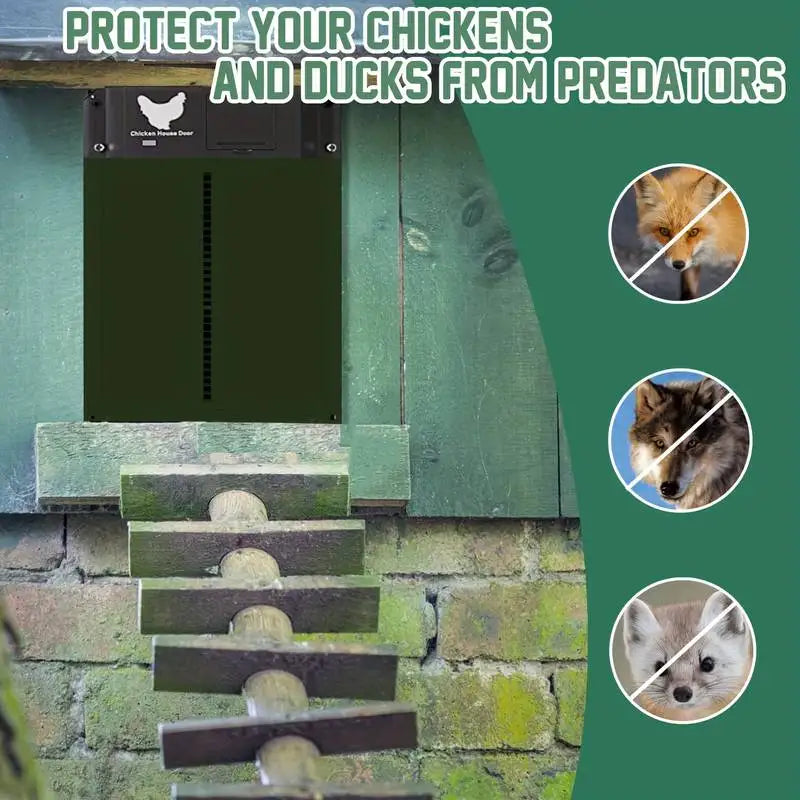 Automatic Chicken Coop Door Chicken Door