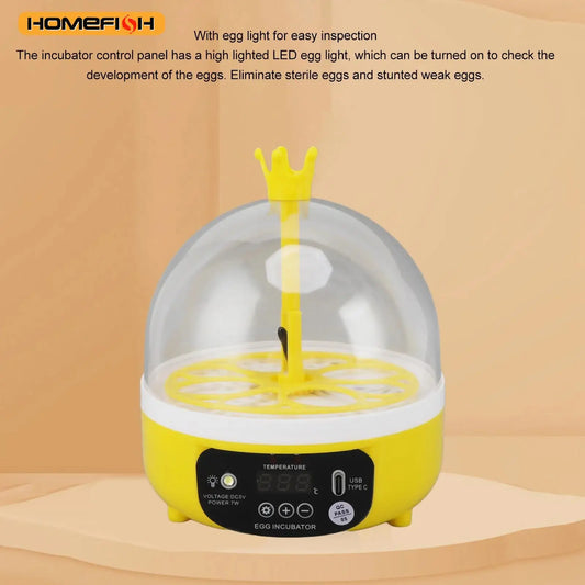 Mini home egg incubator