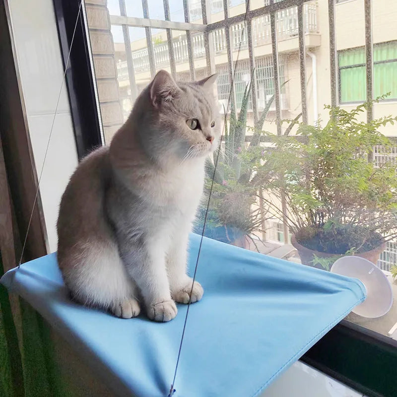 New pet cat hammock hanging cat bed