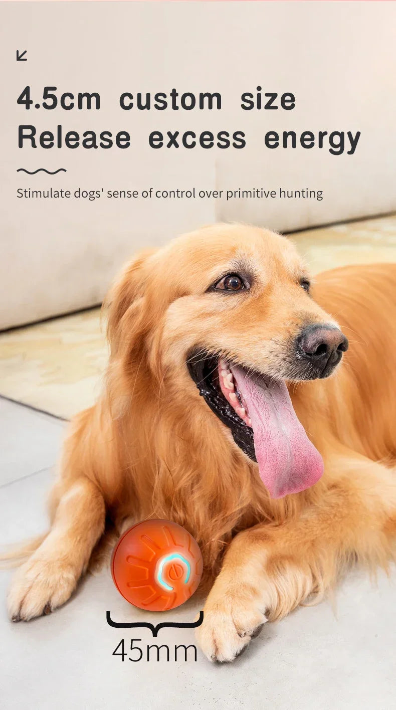 Smart Dog Toy Ball