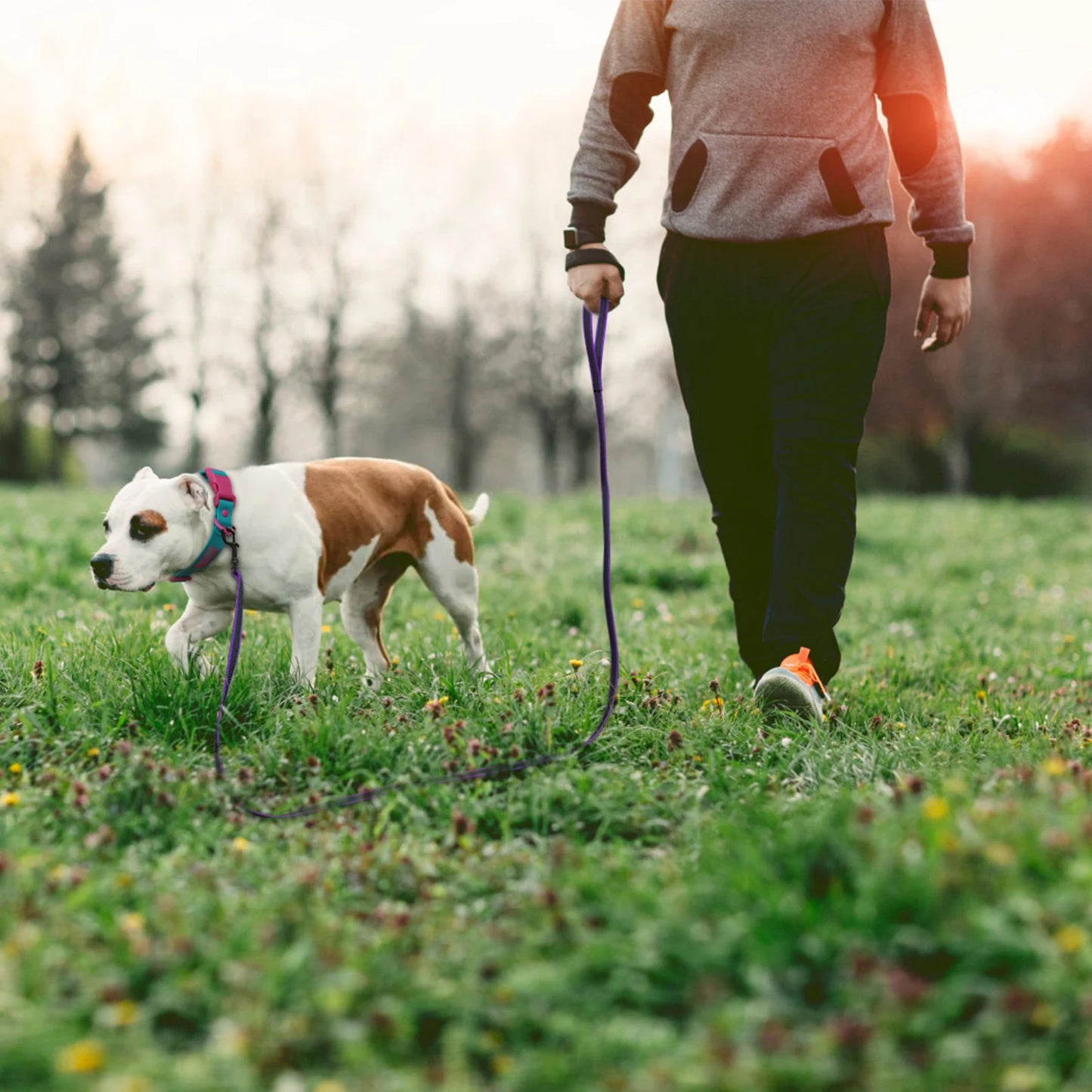 1.5M/2M/5M/3M/15M Training Dog Leash