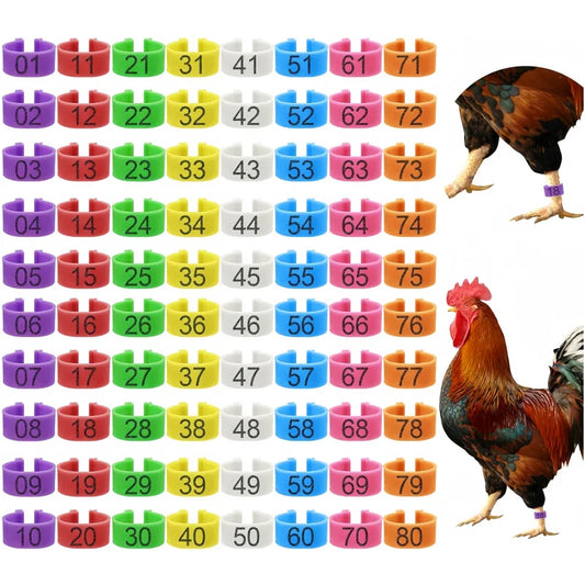 chicken-leg-bands-100-pack-assorted-colors