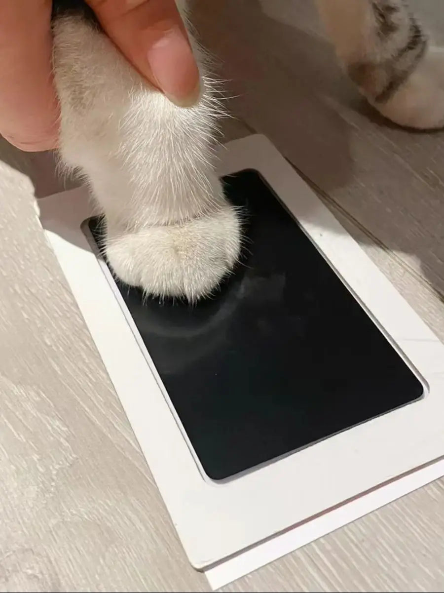 DIY Inkless Nose and Pawprint Impression Making Kit