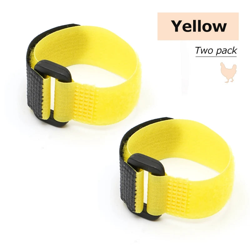 No Crow Rooster Collar 2-Pack - Humane Noise Reduction for Backyard Roosters - Adjustable Chicken Collar Australia