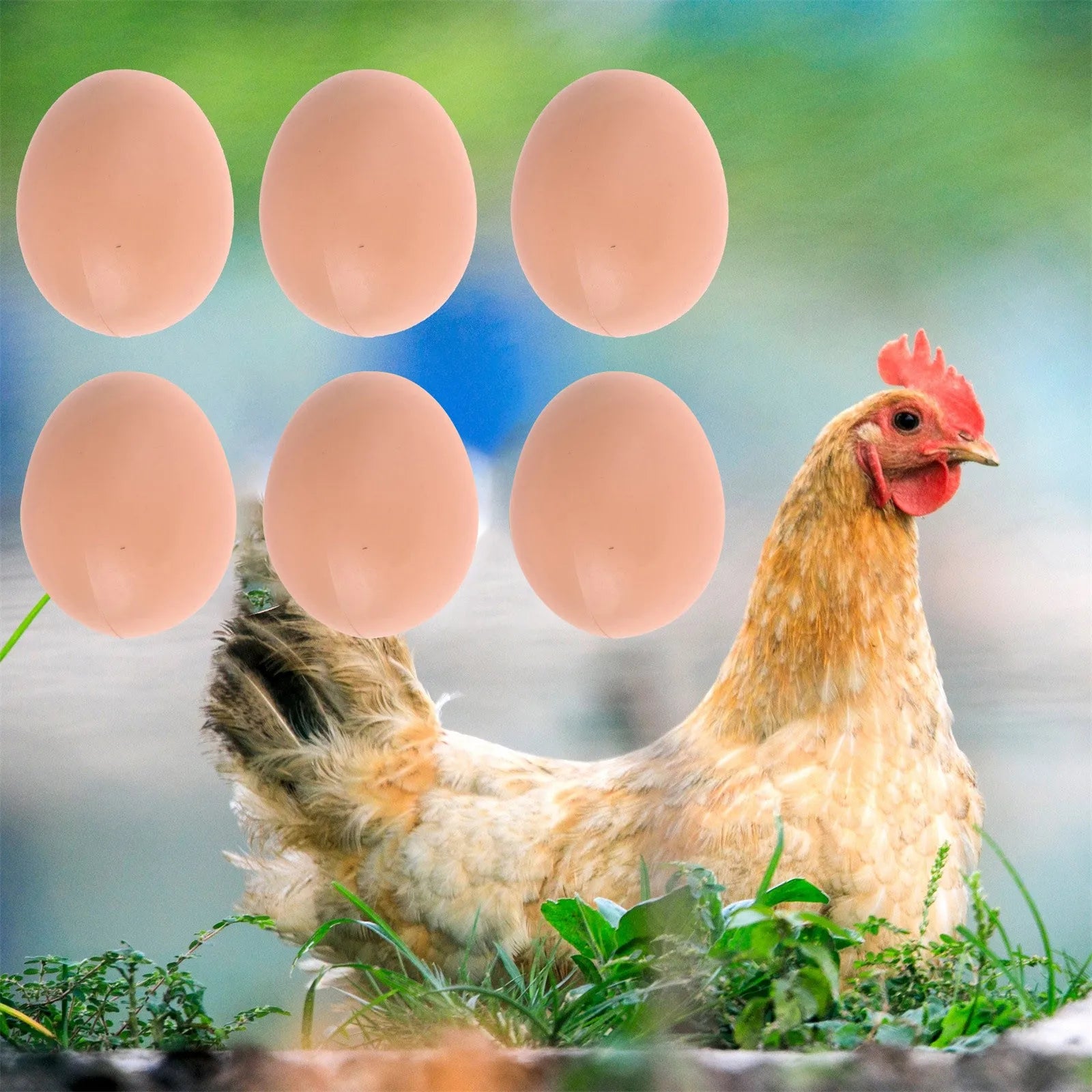 fake-chicken-eggs-training-nesting-boxes-6-pack
