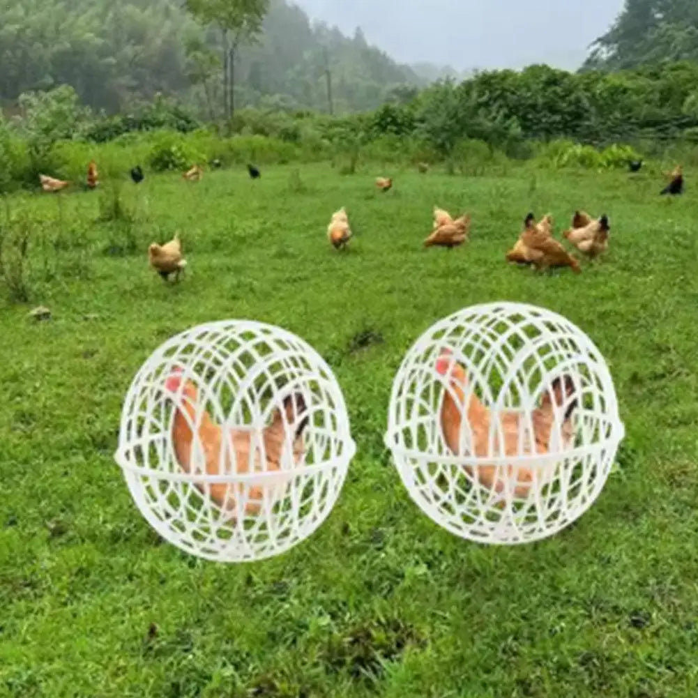 2/3pcs 20/30cm Chicken Rolling Ball Cage