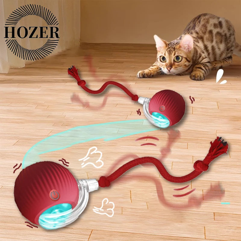 2Pcs Cat Interactive Ball Toys