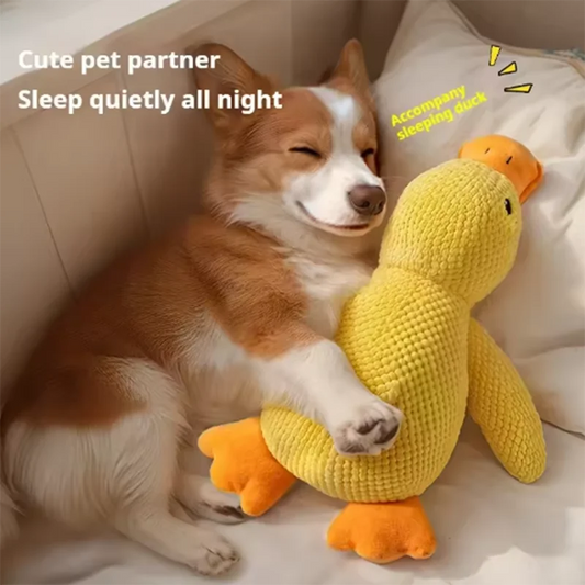 Cute dog Toy Stomping Duck