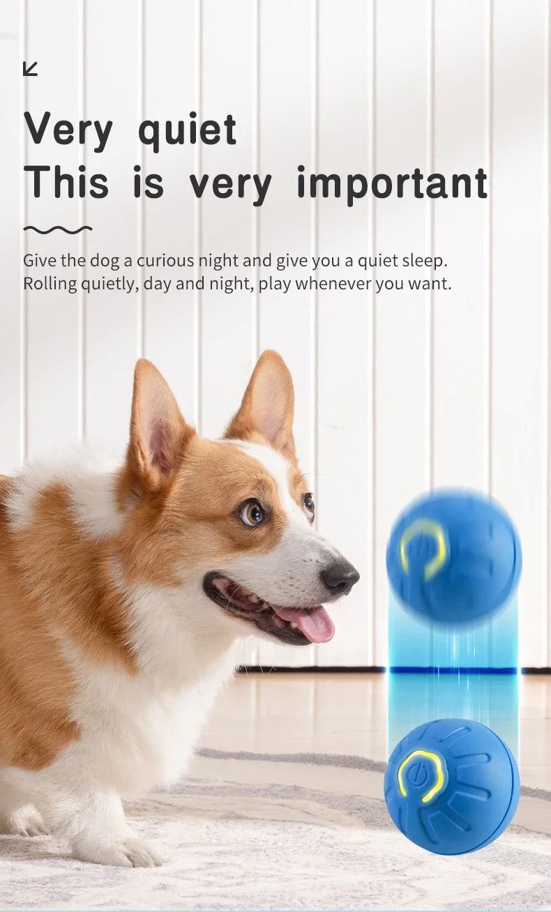 Smart Dog Toy Ball