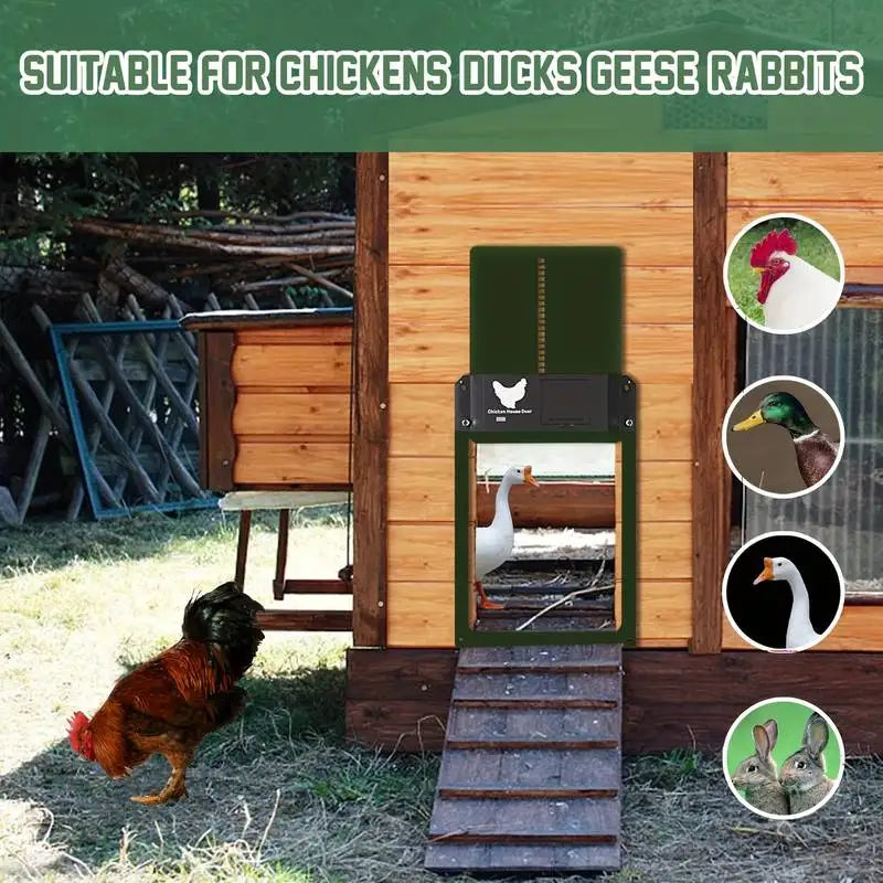 Automatic Chicken Coop Door Chicken Door