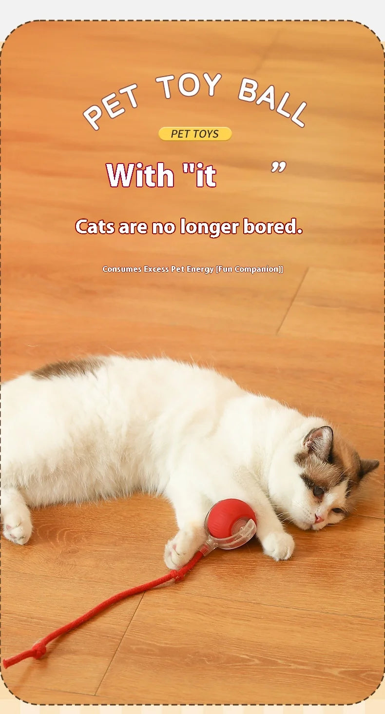 2Pcs Cat Interactive Ball Toys