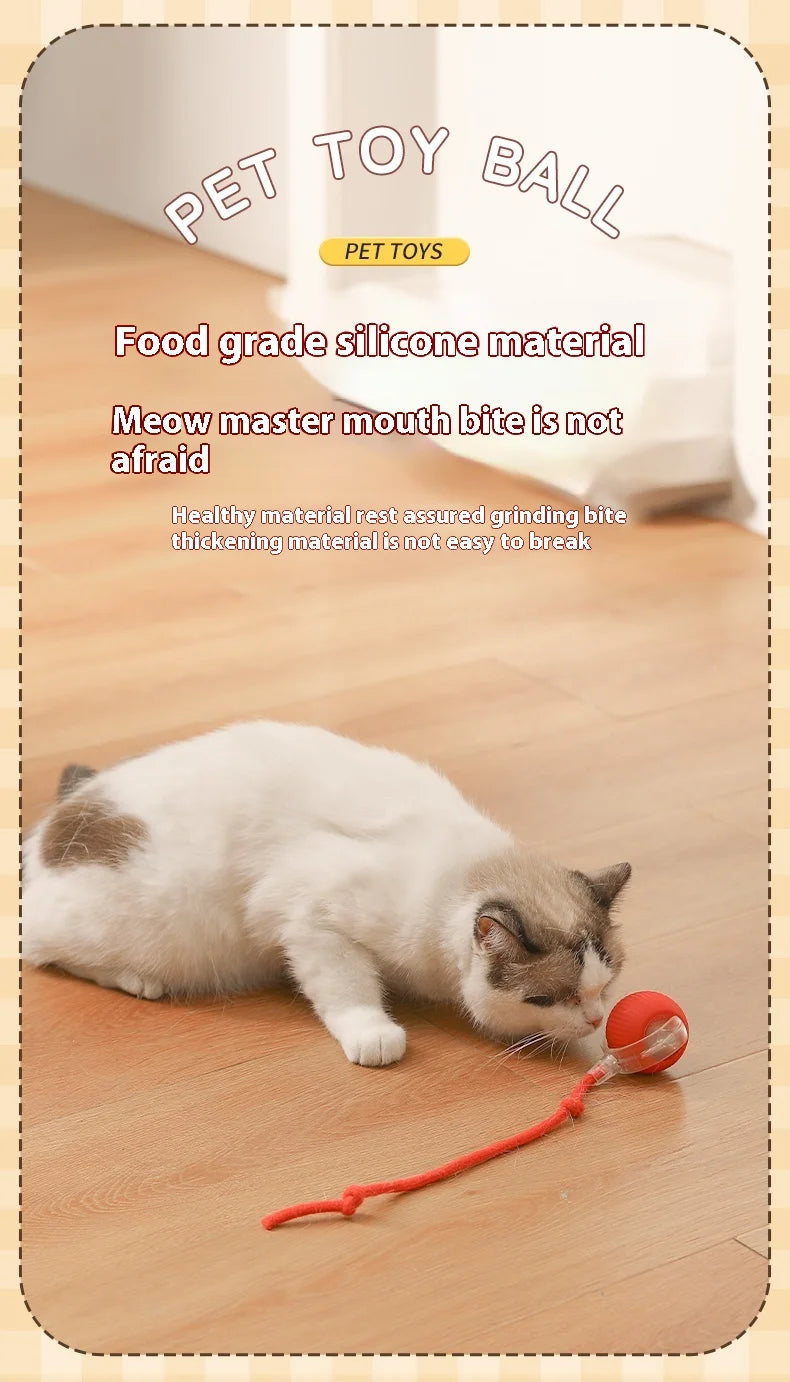 2Pcs Cat Interactive Ball Toys