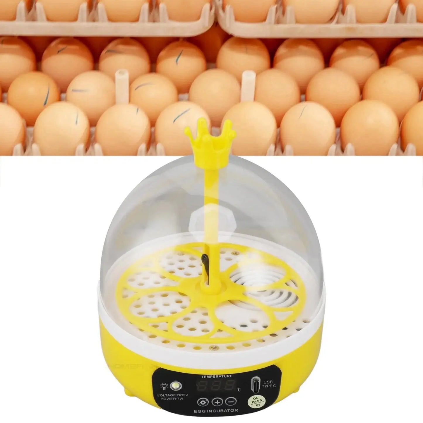Mini home egg incubator