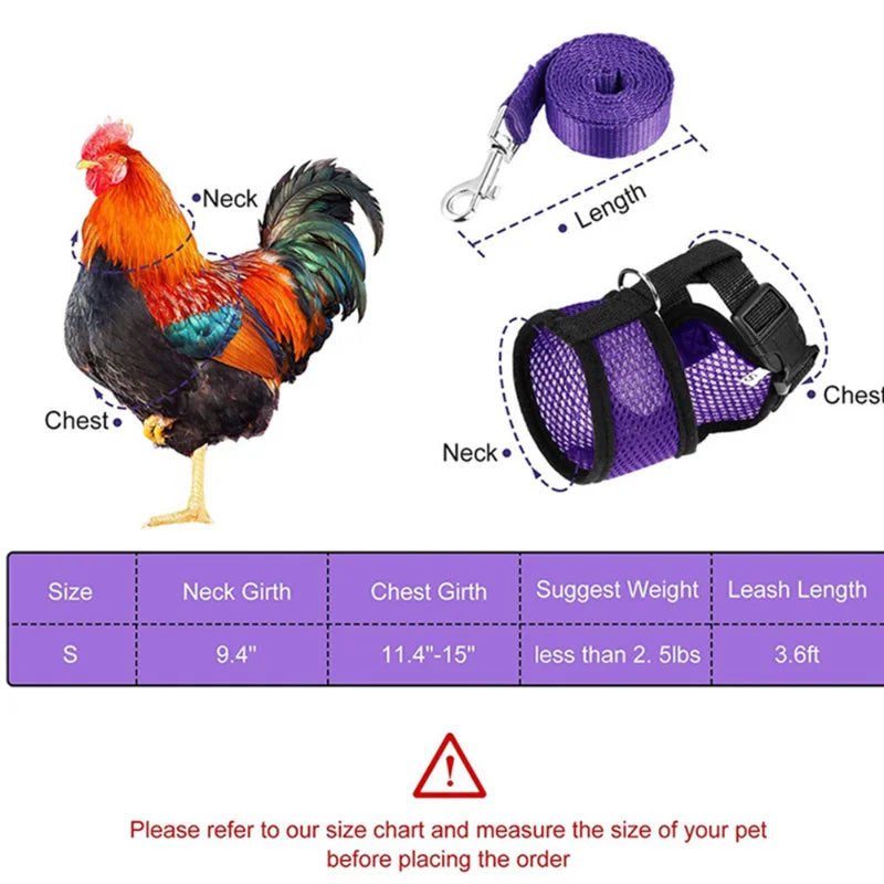 chicken-walking-harness-backyard-poultry