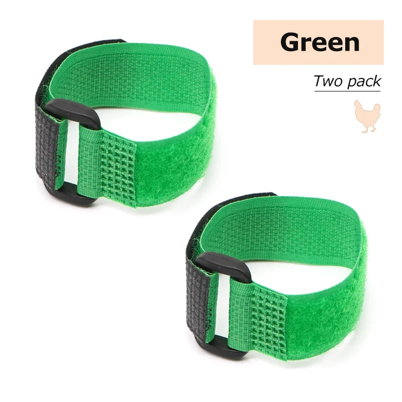 No Crow Rooster Collar 2-Pack - Humane Noise Reduction for Backyard Roosters - Adjustable Chicken Collar Australia