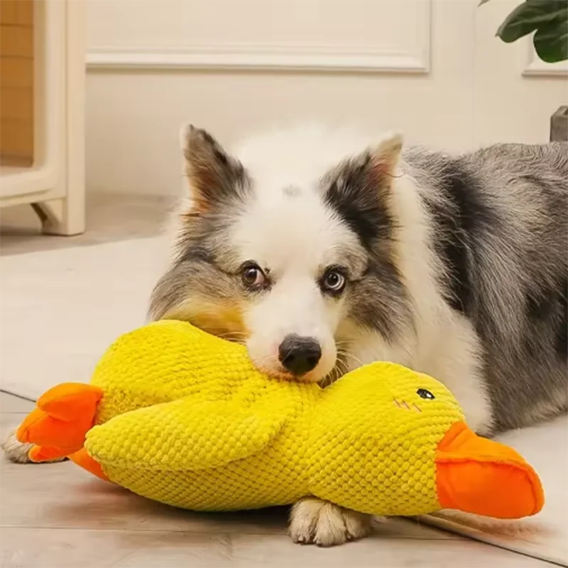 Cute dog Toy Stomping Duck