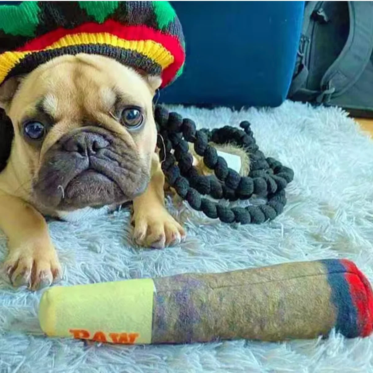 Funny Interactive Cigar Dog Toys