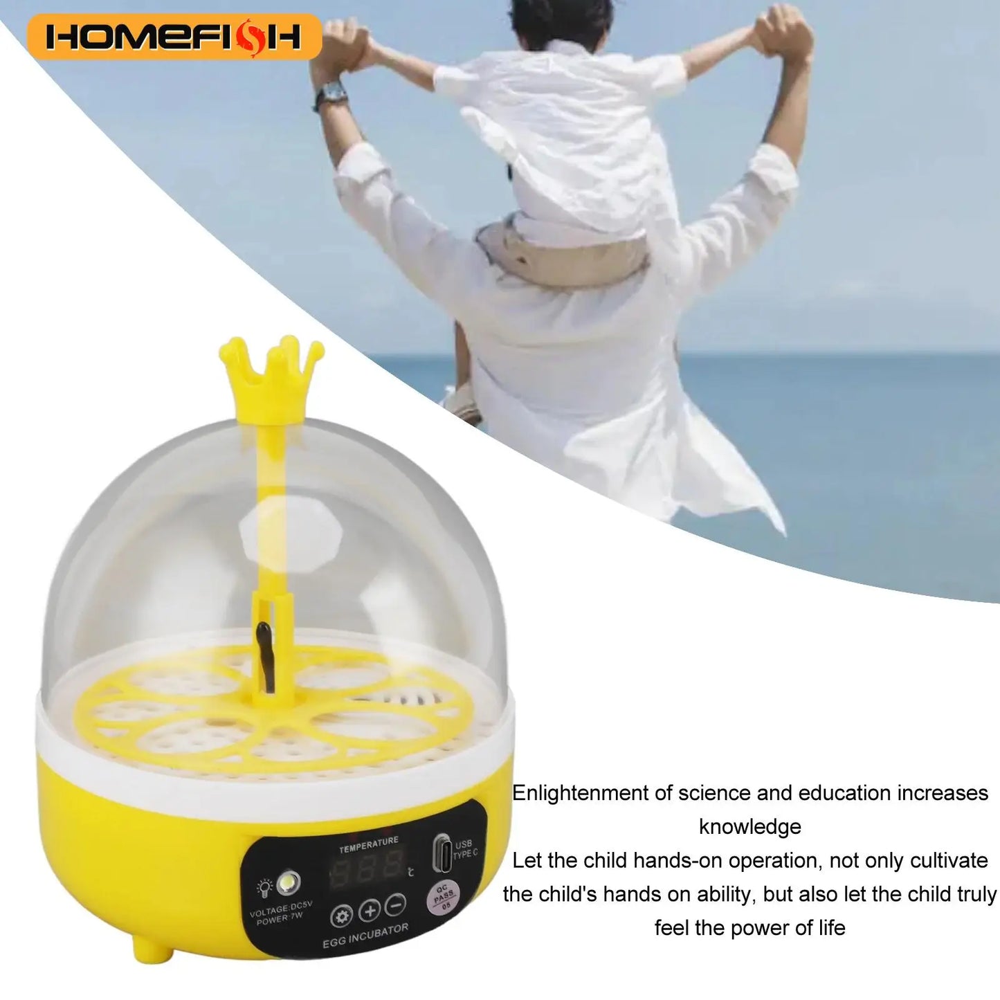 Mini home egg incubator