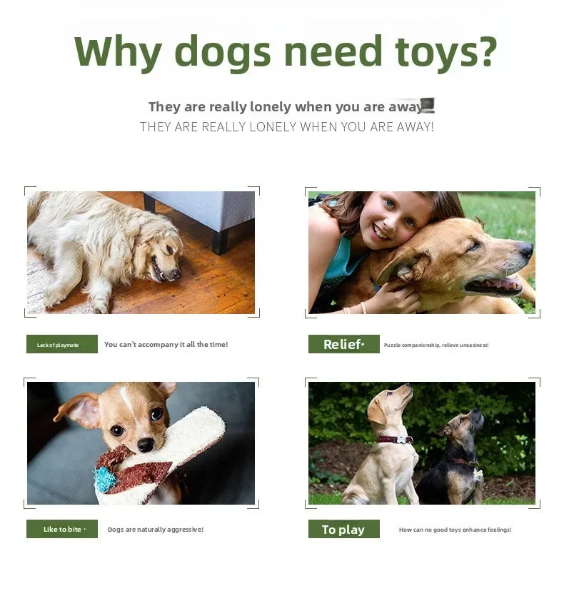 Infographic explaining why dogs need toys with images of a dog alone, a woman hugging a dog, a dog chewing on a toy, and two dogs playing.