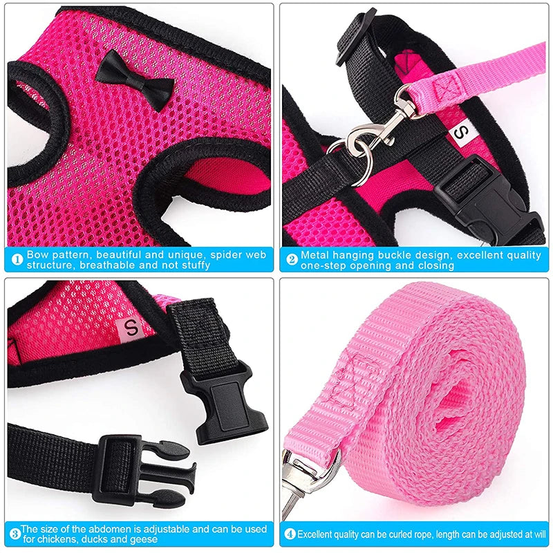 chicken-walking-harness-backyard-poultry