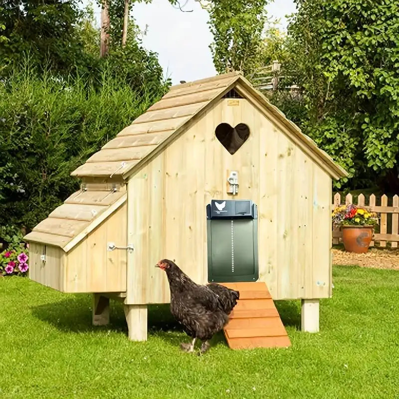 Automatic Chicken Coop Door Chicken Door