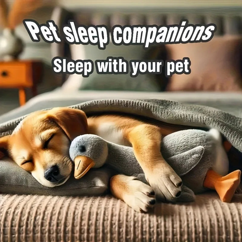 oversized-colorful-duck-cuddle-toy-pets-australia