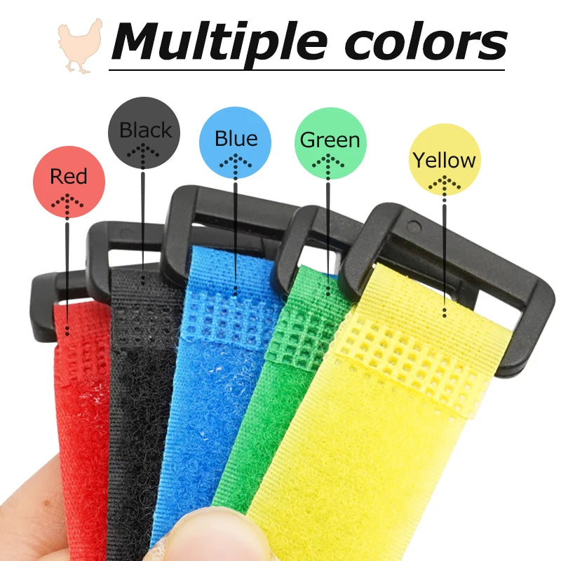 No Crow Rooster Collar 2-Pack - Humane Noise Reduction for Backyard Roosters - Adjustable Chicken Collar Australia