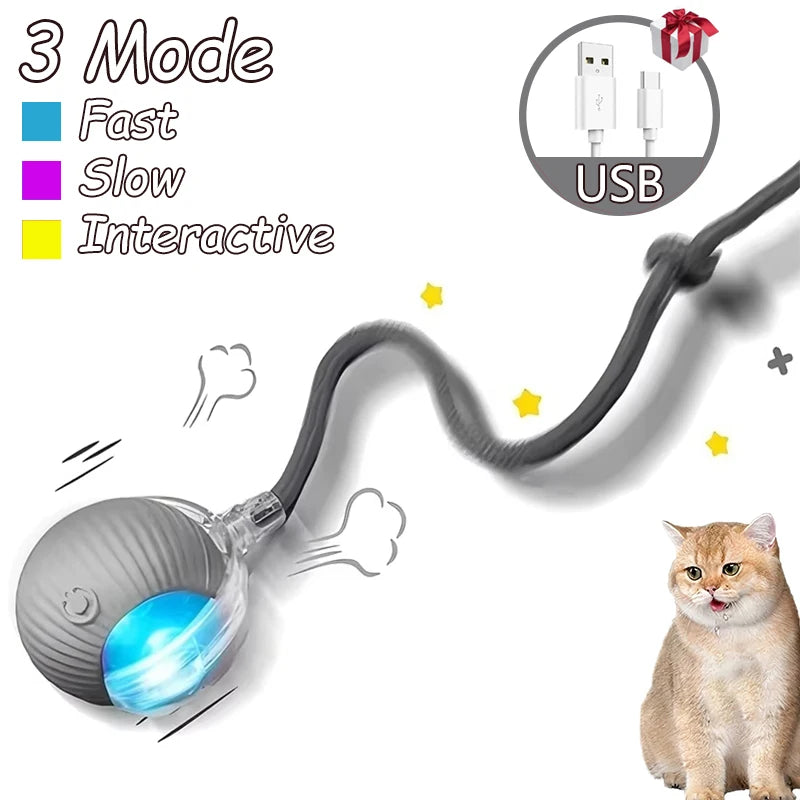Smart interactive cat ball toy 2-pack with motion sensors and automatic rolling for indoor cats