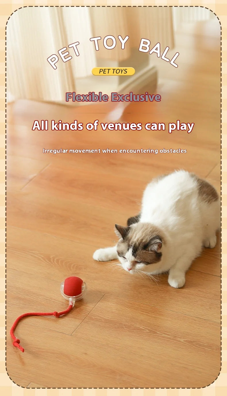 2Pcs Cat Interactive Ball Toys